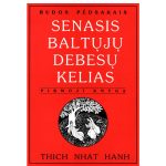 SENASIS BALTŲJŲ DEBESŲ KELIAS - 1 knyga